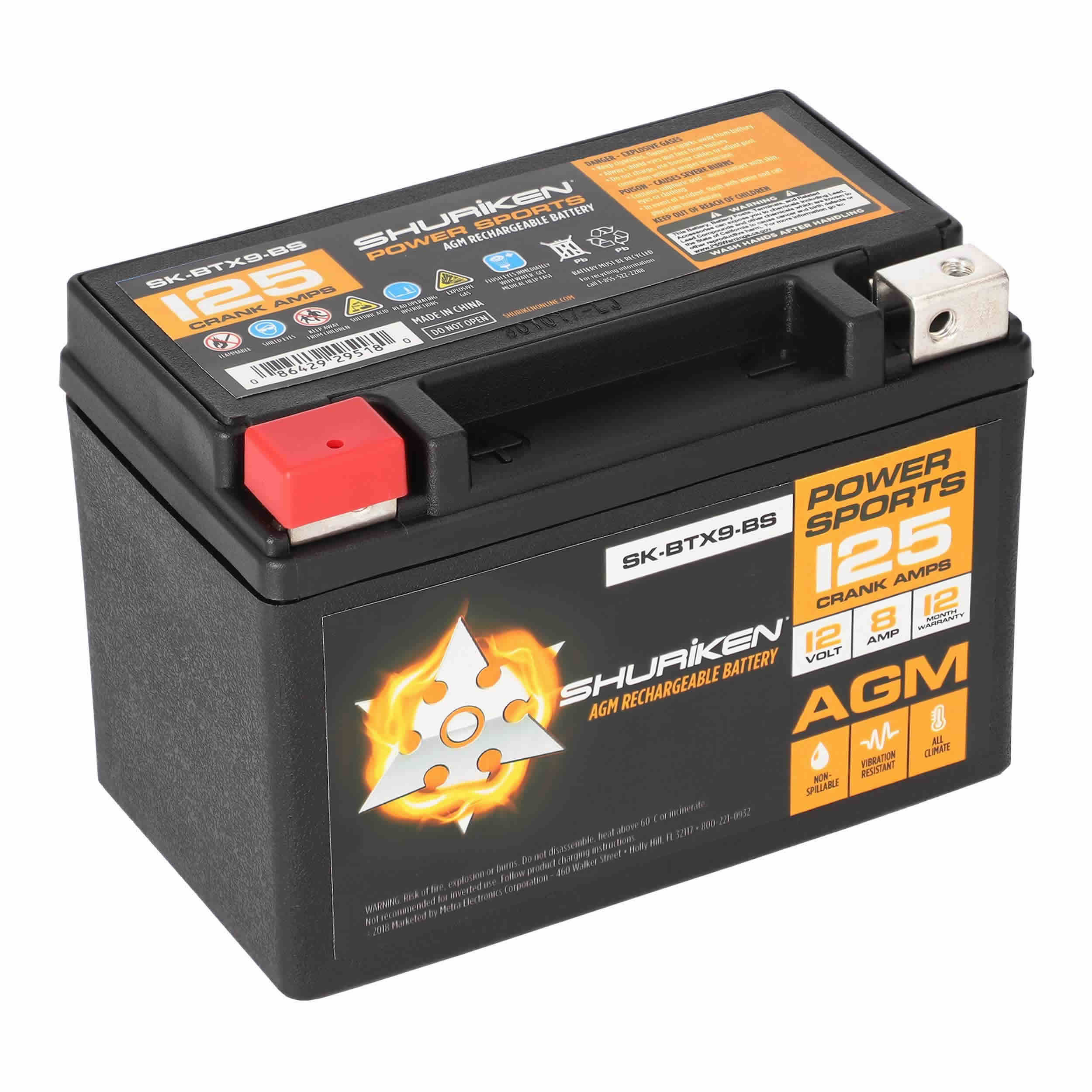 125 Crank AMPS / 8AMP Hours AGM Battery