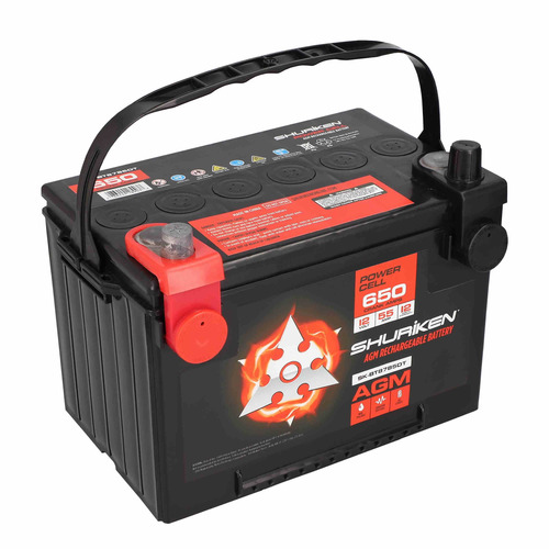 650W 55AMP Compact Dual Post AGM Battery